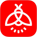 官方：切爾西簽下19歲阿賈克斯左後衛哈托
，轉會費4418萬歐